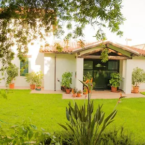 Homestay Aurora